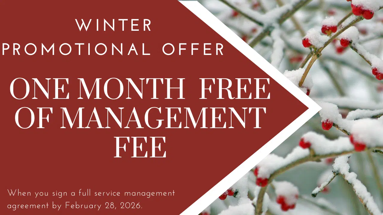 Website Special- Winter